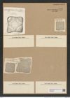 Amphitetras elegans Grev. (de-Toni-Nr.: Genus 137, Species 3638) Zeichnungen Sammlung Grunow Nr. 7132 (NHMW-BOT-W0376099)